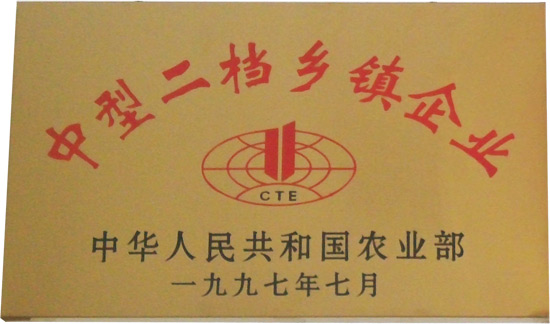 中型二檔鄉鎮企業